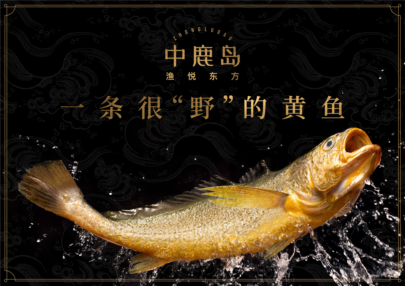 一条很野的黄鱼.jpg